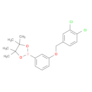 2246779-56-4 1,3,2-Dioxaborolane, 2-[3-[(3,4-dichlorophenyl)methoxy]phenyl]-4,4,5,5-tetramethyl-