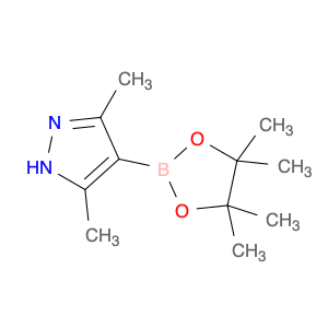 857530-80-4 3,5-Dimethylpyrazole-4-boronic Acid Pinacol Ester